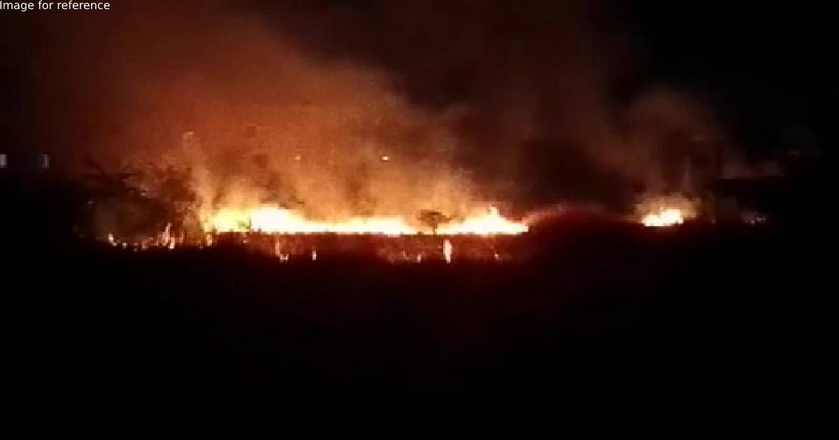 Fire breaks out in West Bengal's Kandi forest area